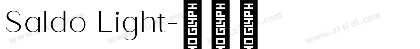 Saldo Light字体转换